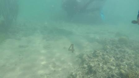 亚当寻找夏娃5