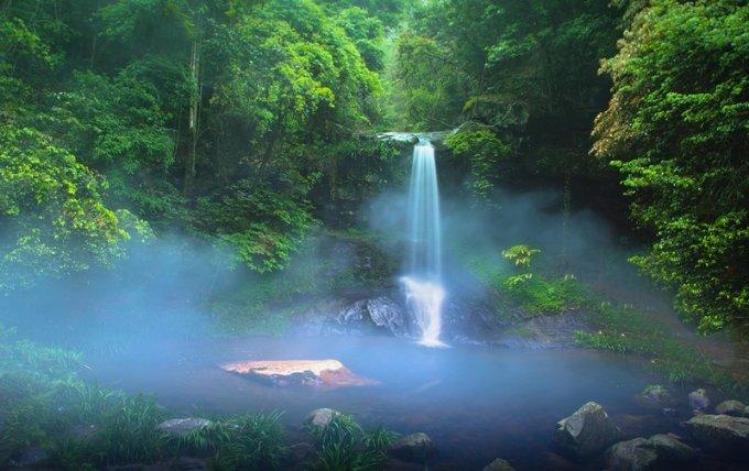 大丛林度假村逃生